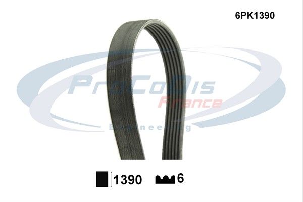 PROCODIS FRANCE Soonrihm 6PK1390